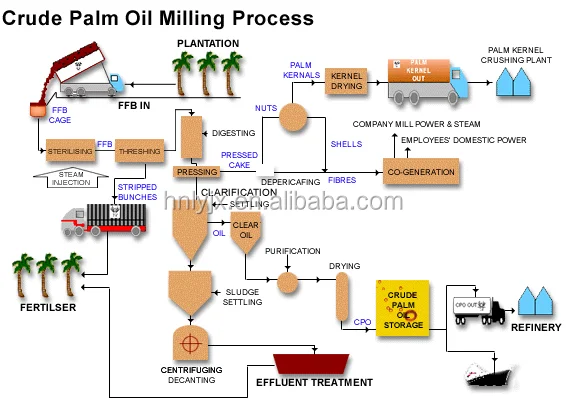 palm kernel oil processing plant, palm oil pressing machine in Indonesia