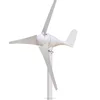 Best buys 300 watt 12v hot sale wind generator used for boat
