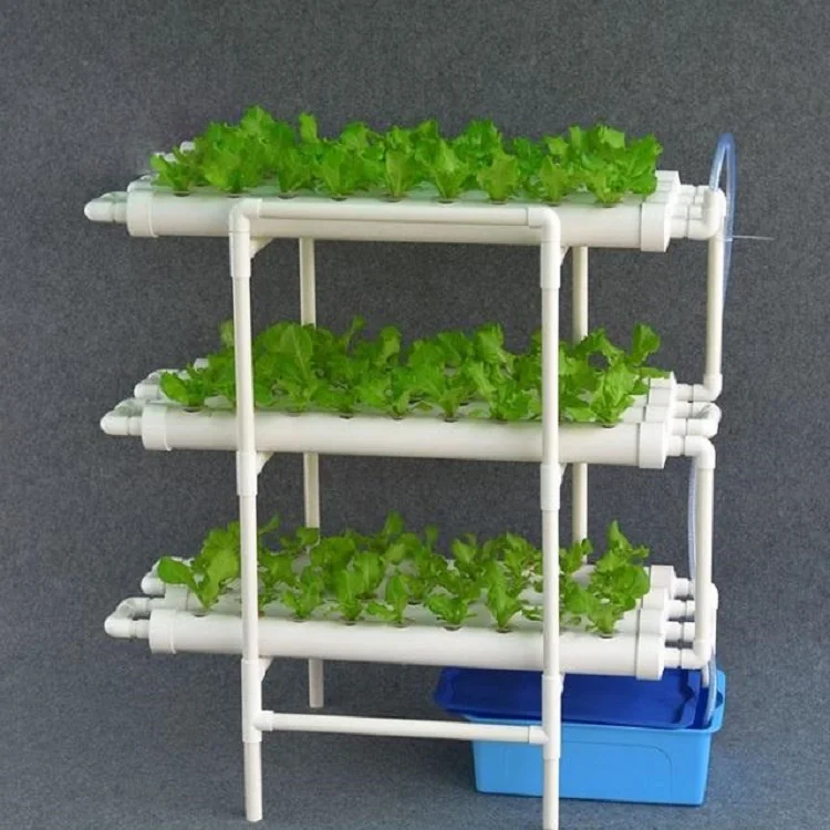 Venta al por mayor hidroponia de lechuga-Compre online los mejores