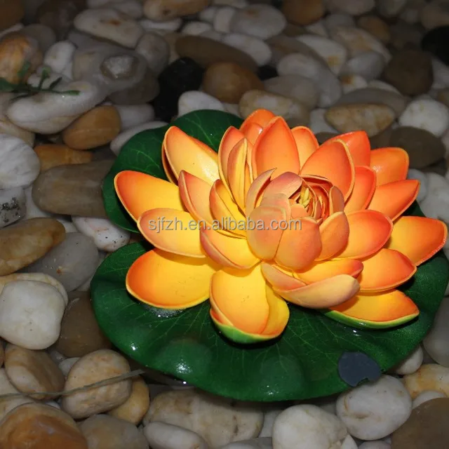 decorative floating water lotus high quality water lotus