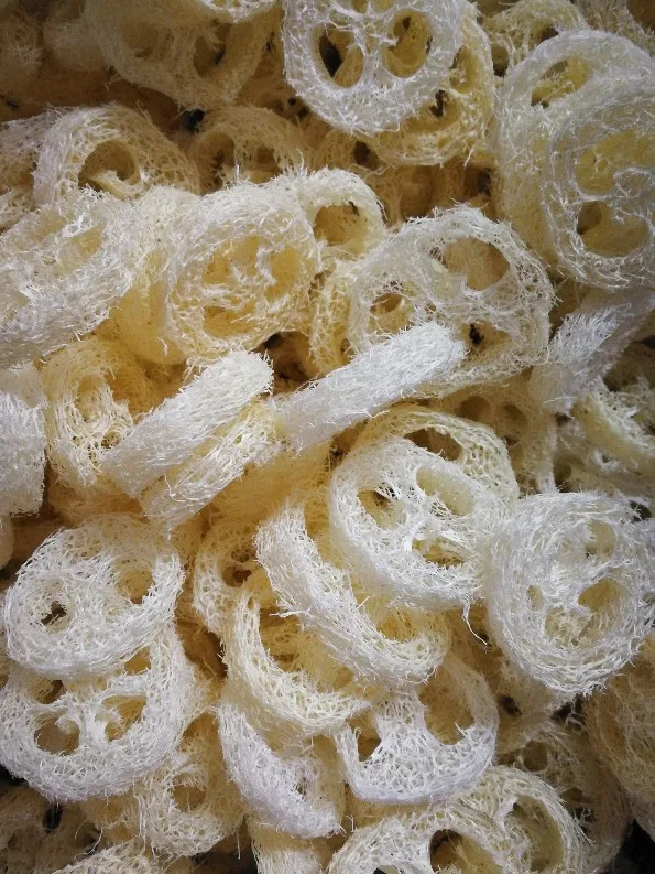 000000000000000000000000000000000000000000000000000000000000000000000000000000000000000000000000000000000000000000000000000000000000000000000001 -  - 