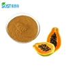 100% Natural Organic Papaya Extract / Papaya Fruit Leaf Extract Powder