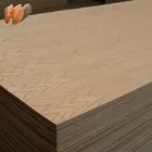 Factory-directly bintangor/pine/birch/basswood/okoume plywood for sale