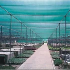 agricultural use vegetable nursery greenhouse dark green sun shade net
