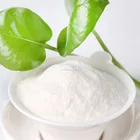 Factory direct sale white wall putty powder/ wall tile adhesive and grout in China