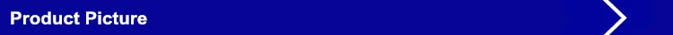 3.picture.jpg