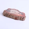 petrified wood natural raw fossil stone wholesale