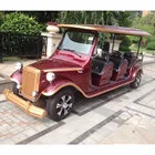Custom unique electric sightseeing car