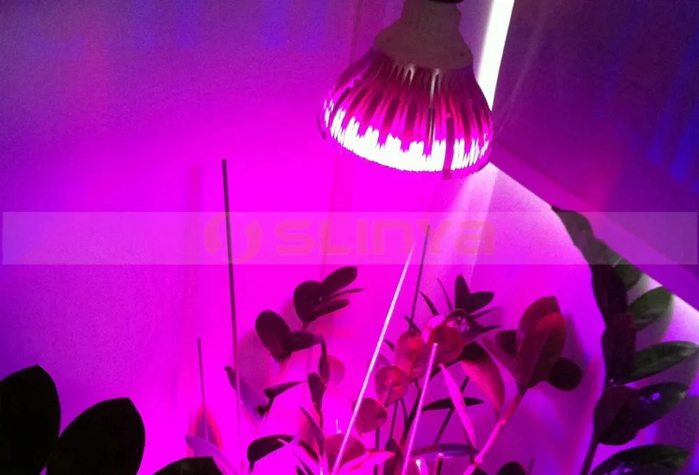 Clip plant lamp 8035 170310 (12).jpg
