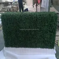 2015 Plastic Plant Artificial Walls Artificial