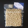 New crop blanched peanut 25/29