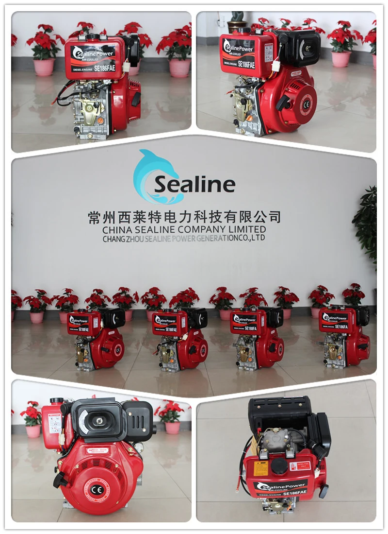 10HP Air-cooled Single Cylinder Diesel Engine SE186FA(E) for Boat Power