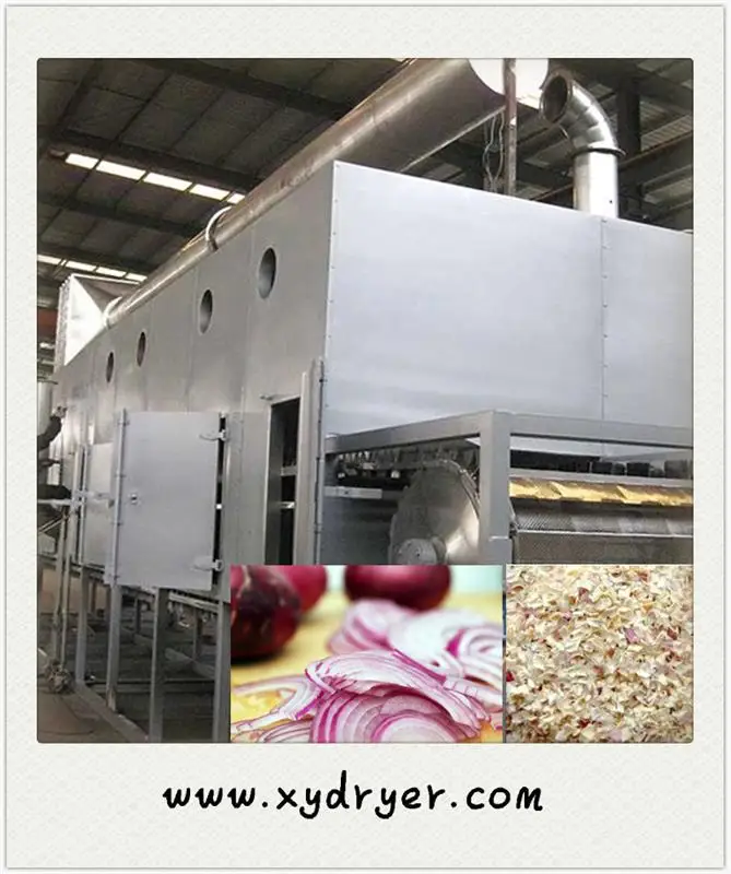Professional onion belt dryer made in China