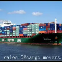 Fast Ocean Freight Forwarder Consolidation Custom