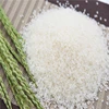 Jasmine Rice / Long Grain Fragrant Rice / white rice