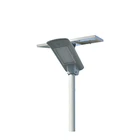 ファーム Led 街灯ガーデンランプ 12V 30 ワット 40 ワット 50 ワット 60 ワットストリート Dc 太陽エネルギーライト