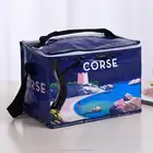 Cool Bag School Picnic Lunch Box Insulated Small Thermal Cooler Novelty 5 Litre