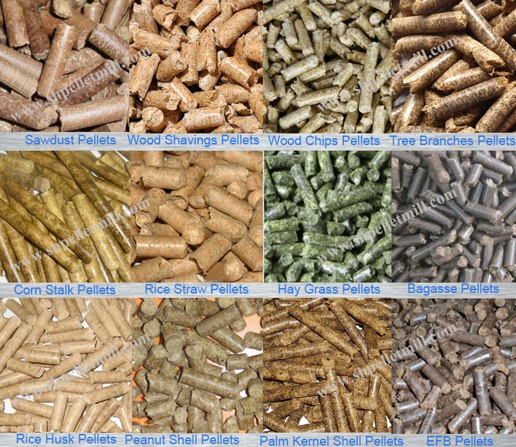 Chestnut Wood Sawdust Pellet Machine Buy Wood Sawdust Pellet