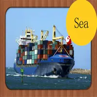 Newest International Container Transport Services To