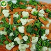 Export Wholesale Mixed Frozen Vegetables IQF Carrot and Peas