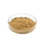 Antioxidant & anti-aging Ginkgo Biloba leaf extract powder