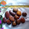 /product-detail/fast-delivery-high-polished-natural-river-pebble-stone-for-garden-landscaping-60765076935.html