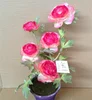 /product-detail/high-quality-5-heads-silk-artificial-ranunculus-flower-pot-for-decoration-60703603253.html