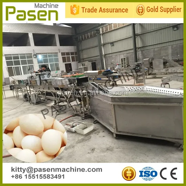 egg expiry date stamping machine /