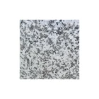 G439 Granites Cheap Price Tiles Slabs for Hotel Bathroom
