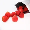 /product-detail/strawberry-food-in-dubai-for-sale-strawberry-wholesale-price-60817141769.html