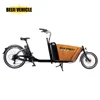 /product-detail/electric-cargo-bicycle-bike-with-box-60817154085.html