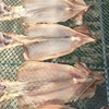 export wholesale supplier of all types of seafoods dried squid