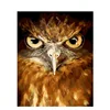 CHENISTORY DZ1341 Paint By Number For Wholesale Animals Eagle No Frame For Kits