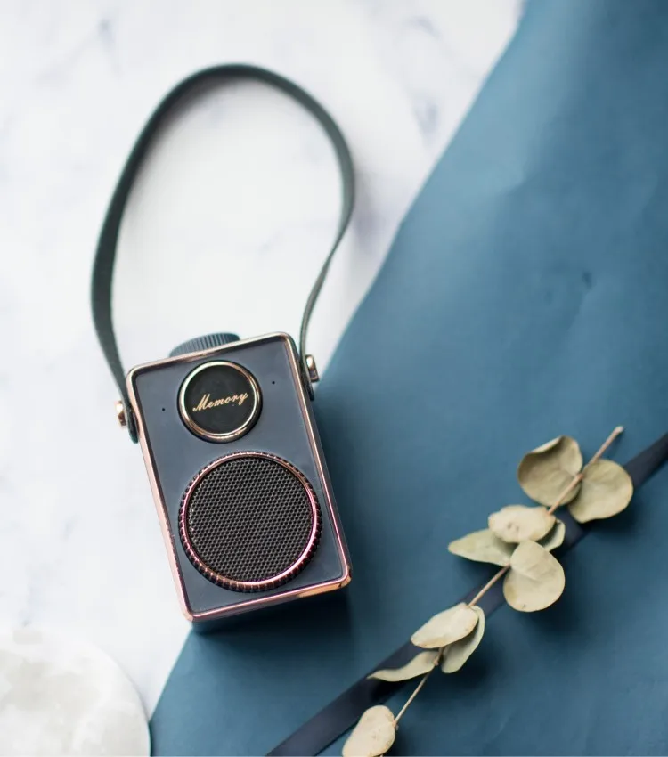 Wireless Wholesale Factory Price portable mini BT Retro camera styling Usb speaker - ANKUX Tech Co., Ltd