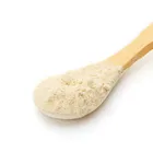 Healthe Fruit Extract Organic papaya milk powder price OEM