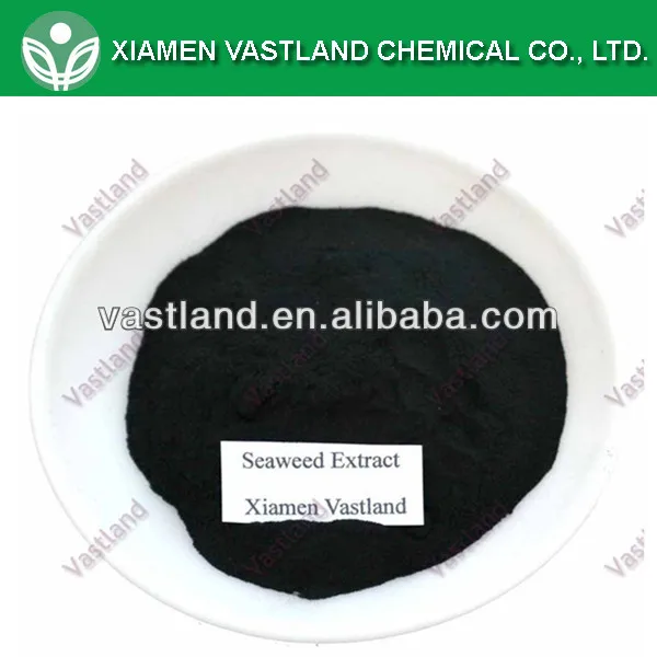 seaweed extract_.jpg