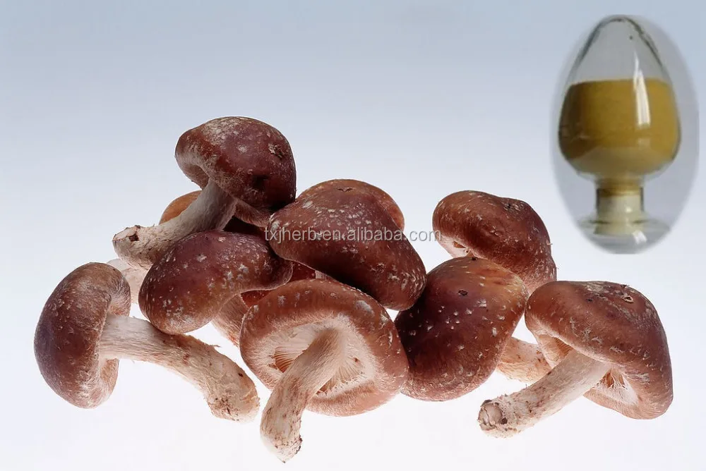 shitake mushroom extract,shiitake mycelia extract