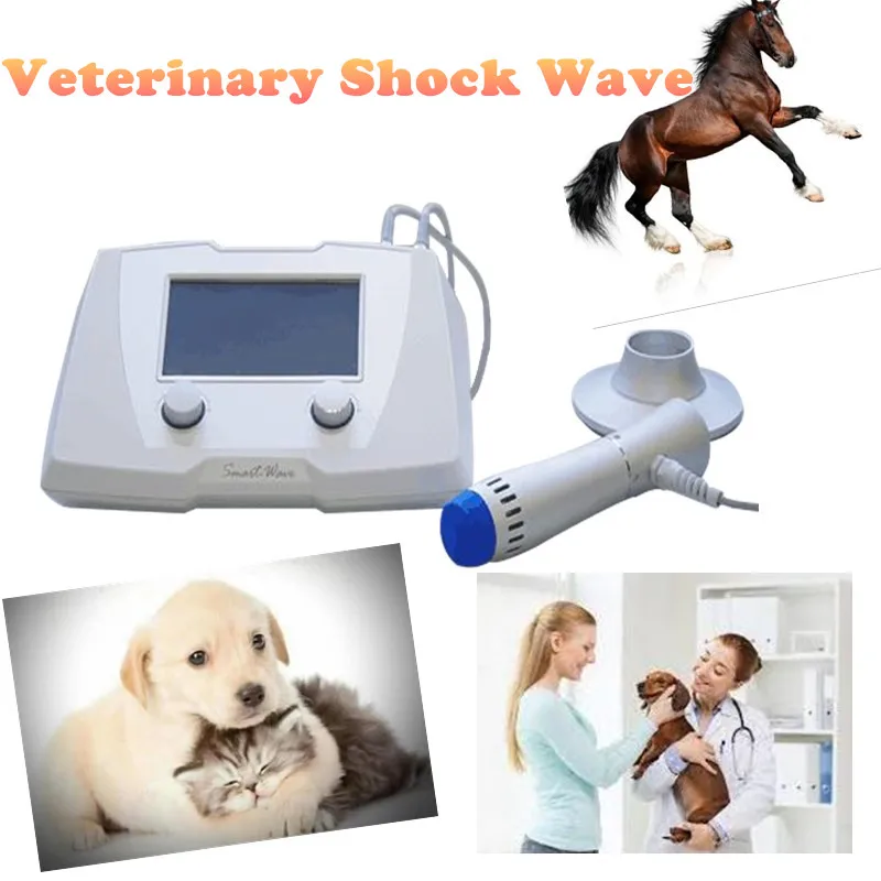 vétérinaire shockwave_.jpg