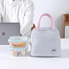 Custom Lunch Food Picnic Insulation Bag With Ziplock