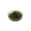 Chlorella vulgaris 100% pure powder wholesale