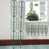 green wrought iron climbing plant leaf supports metal steel trellis