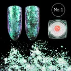 Chromium Chameleon Nail Art Classical Style Pigment Powder