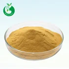 Pure moringa leaf extract moringa oleifera powder