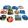 China manufacturer wholesale 3D effects lenticular magnetic card