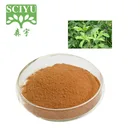 100% Natural Siberian Ginseng Extract 0.8% / 1.2% Eleutheroside B+E