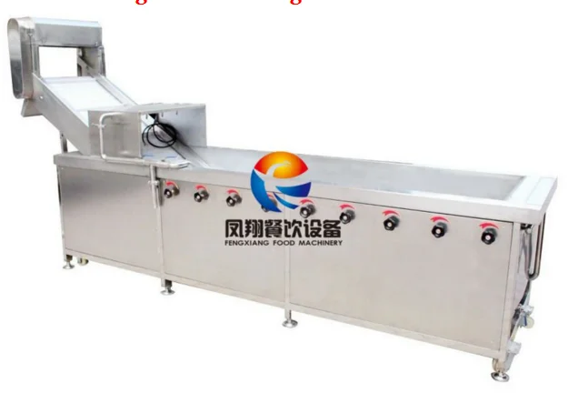 CWA-2000 vegetable washer and cutter processing line