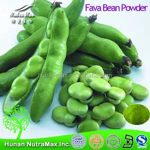 broad bean extract broad bean