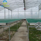 Agricultural Greenhouse Seedbed with welded wire mesh