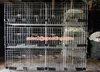 /product-detail/3-layer-4-door-breeding-pigeon-cages-1652975178.html