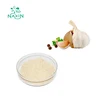 NAXIN Hot Selling Garlic Granule Extract Garlic Powder